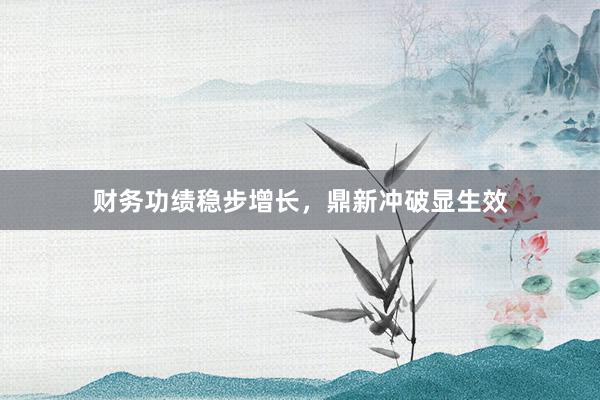 财务功绩稳步增长，鼎新冲破显生效
