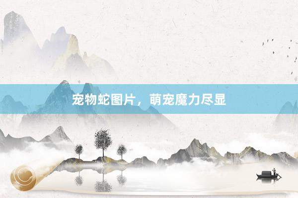 宠物蛇图片，萌宠魔力尽显